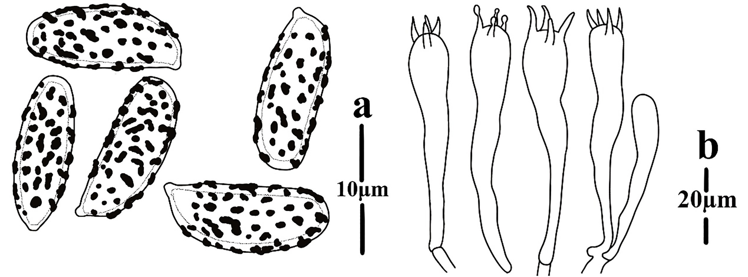 Figure 109